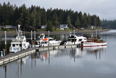 Both Docks in use